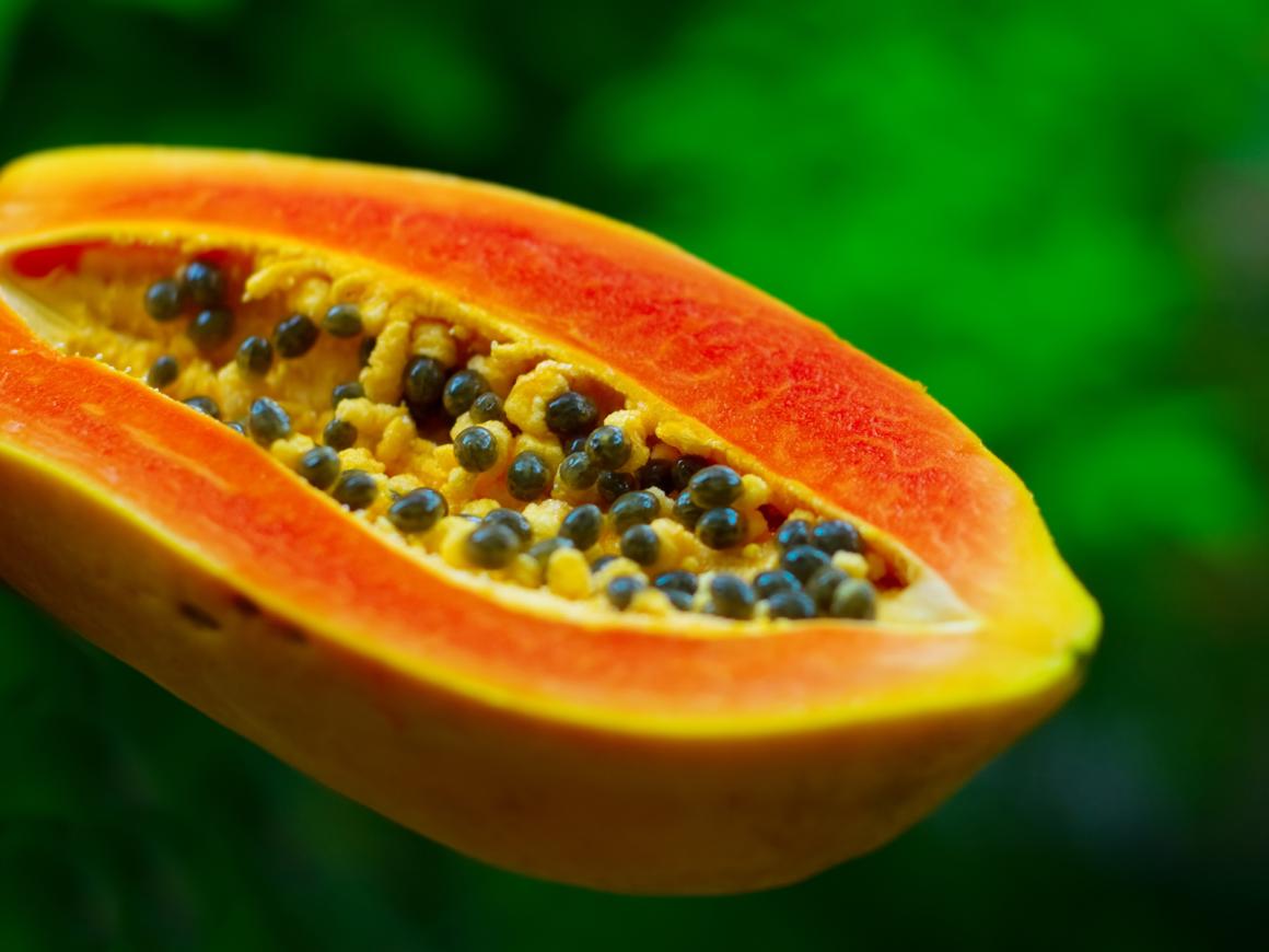 Papaya