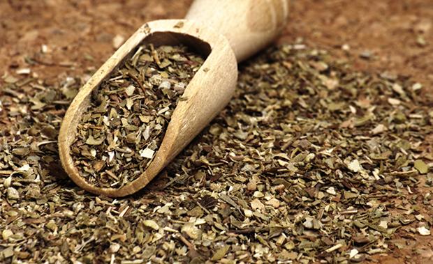 Oregano