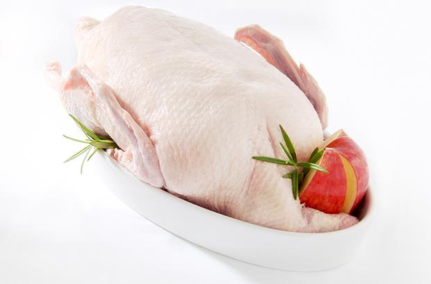 Gans richtig zubereiten!