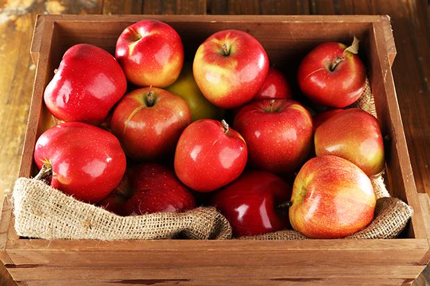 Der Apfel, eine runde Vitaminbombe