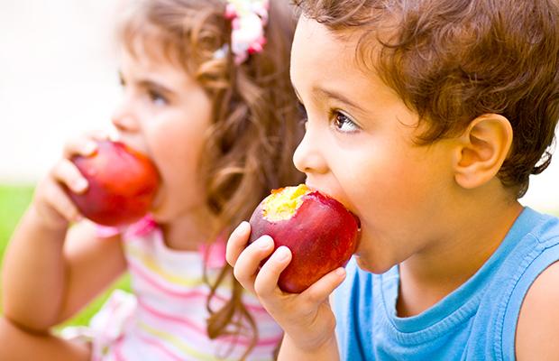 Der Apfel, eine runde Vitaminbombe