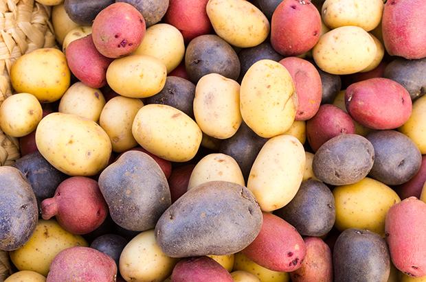 Alte Gemüsesorten neu entdeckt