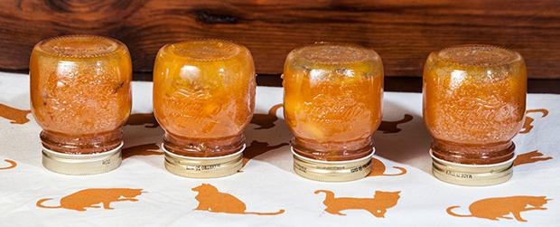 Einkochen - Obst und Gemüse haltbar machen