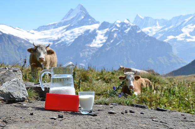 Schokoladentradition in der Schweiz
