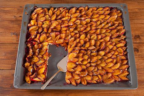 Blechkuchen, wahre Köstlichkeiten