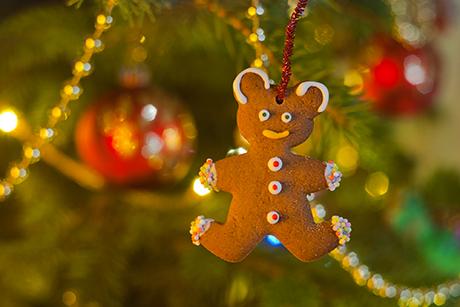 Der etwas andere Weihnachtsbaum: Der Bauernchristbaum