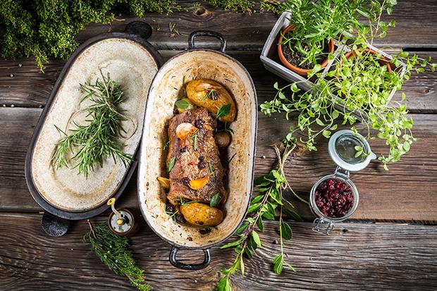 Wild kochen - Tipps