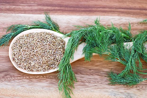 Dill 