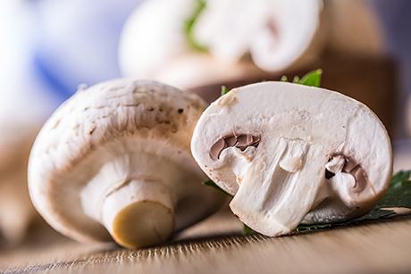Champignons