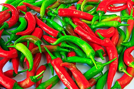 Peperoncini - Chili