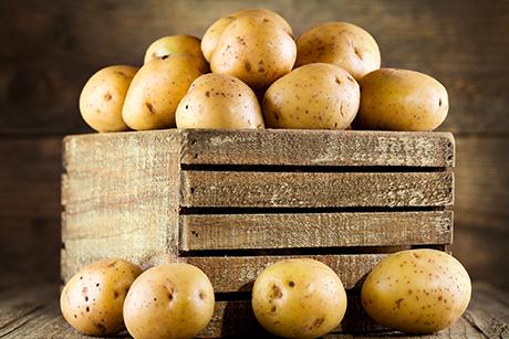 Kartoffeln - Kartoffelsorten