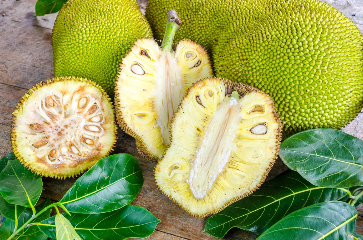 Jackfruit - Fleischersatz aus den Tropen