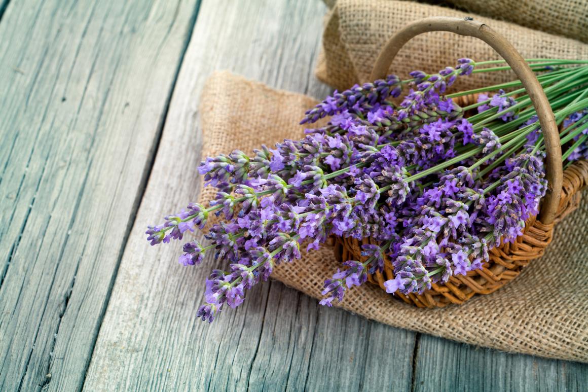 Lavendel in der Küche