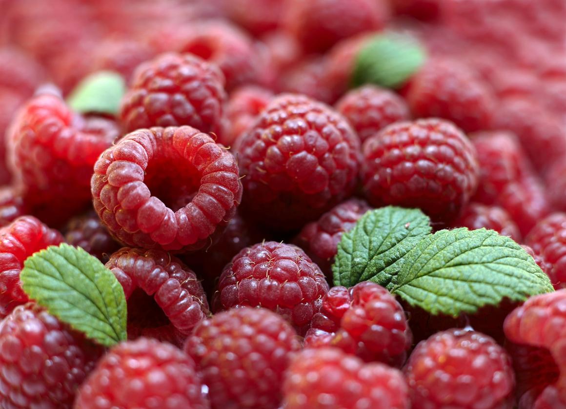 Himbeere