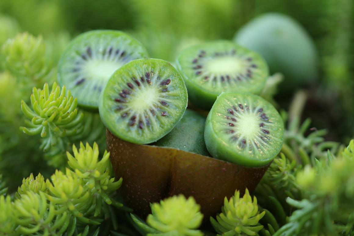 Kiwibeere