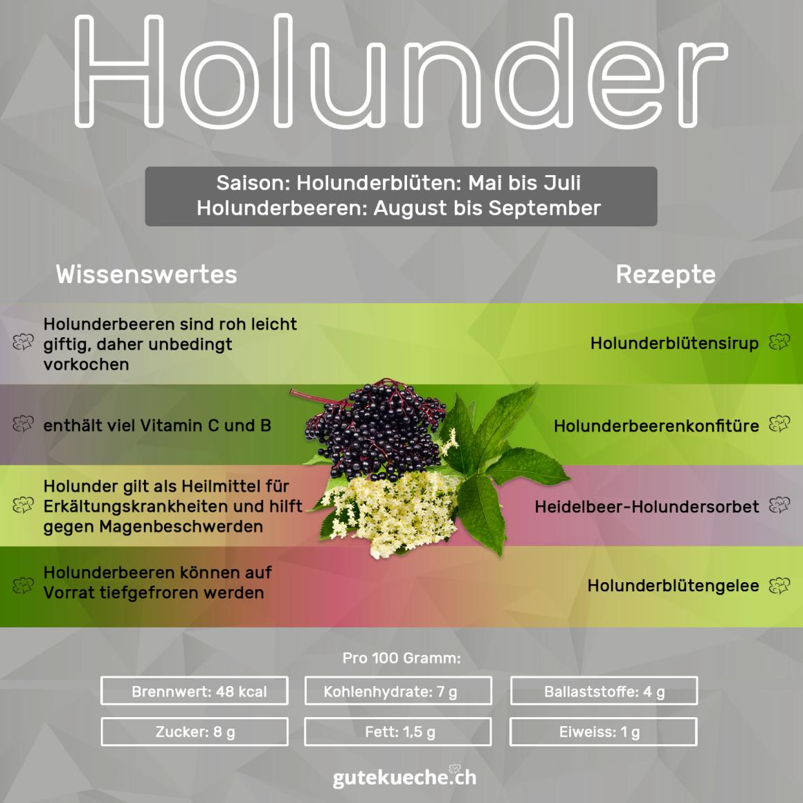 Holunder