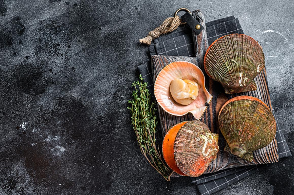 Coquilles St. Jacques