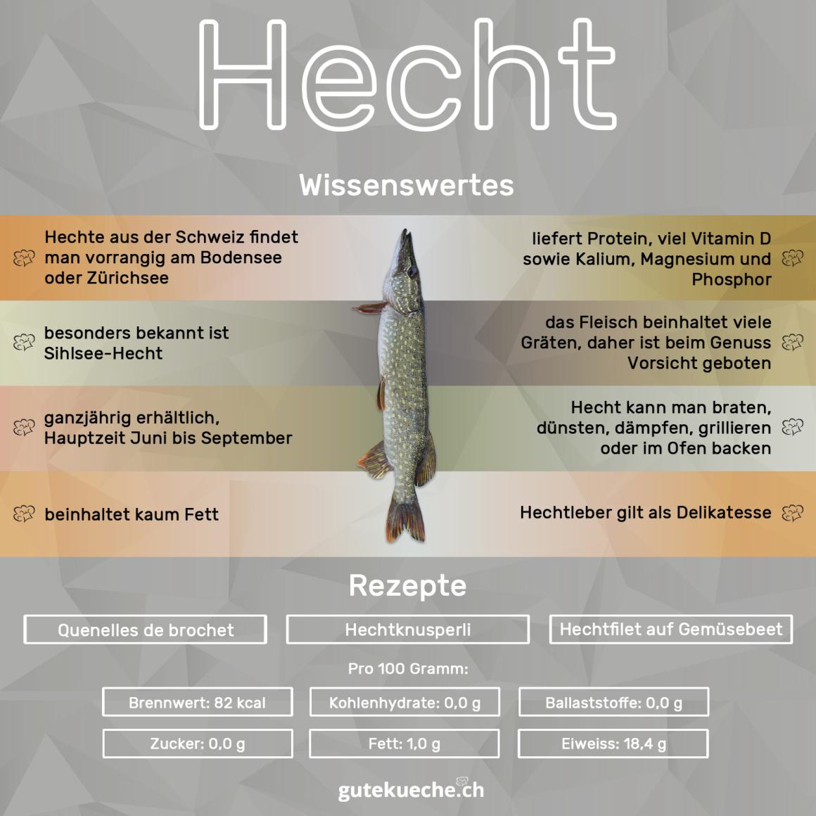 Hecht