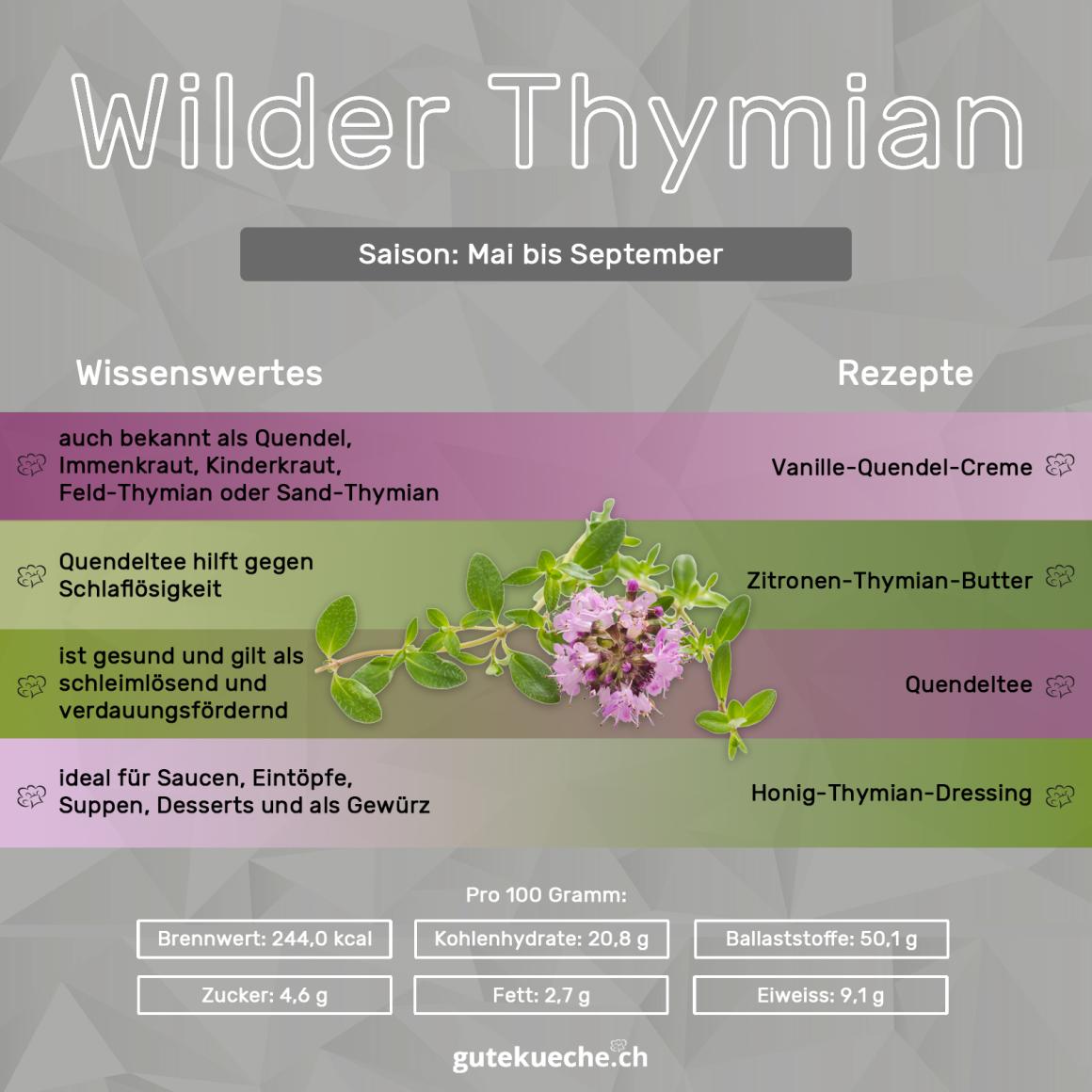 Wilder Thymian
