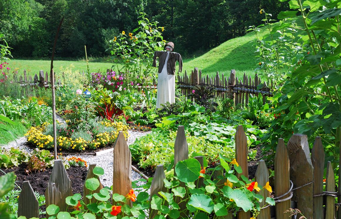 Biodiversität – der Naturgarten
