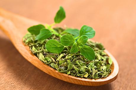 Oregano