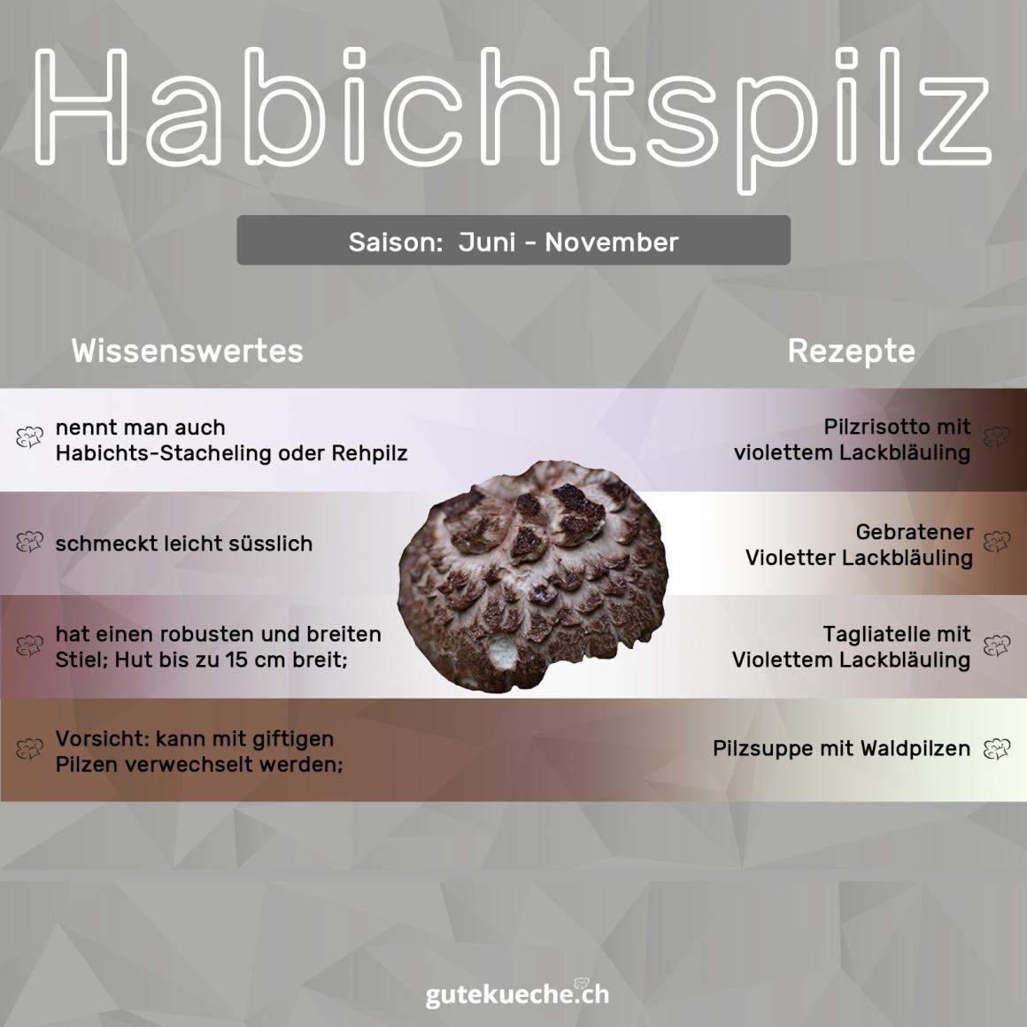 Habichtspilz