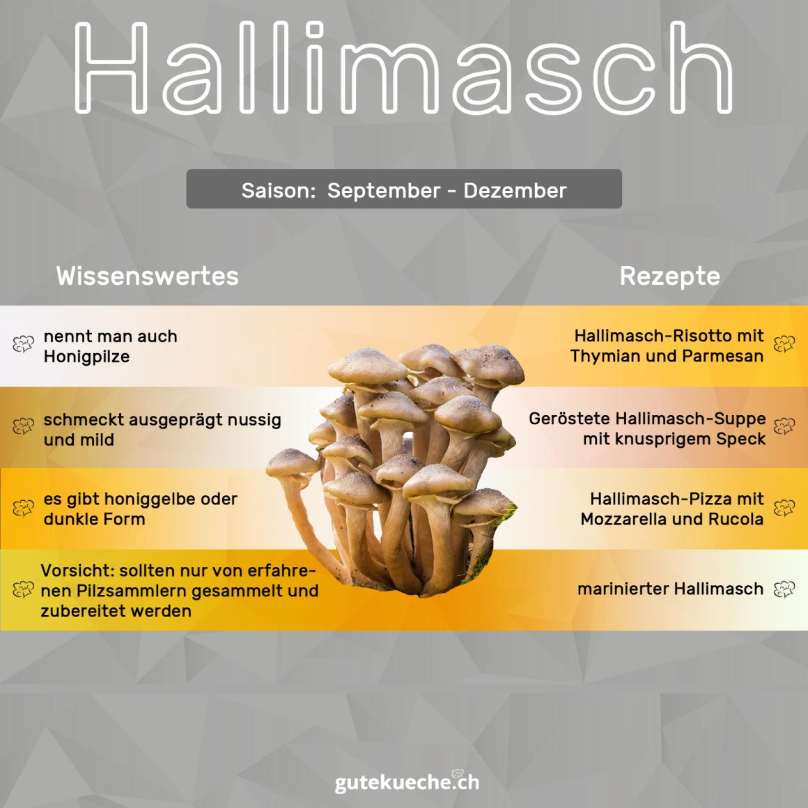 Honiggelber und dunkler Hallimasch