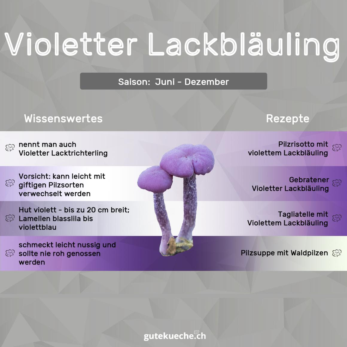 Violetter Lackbläuling
