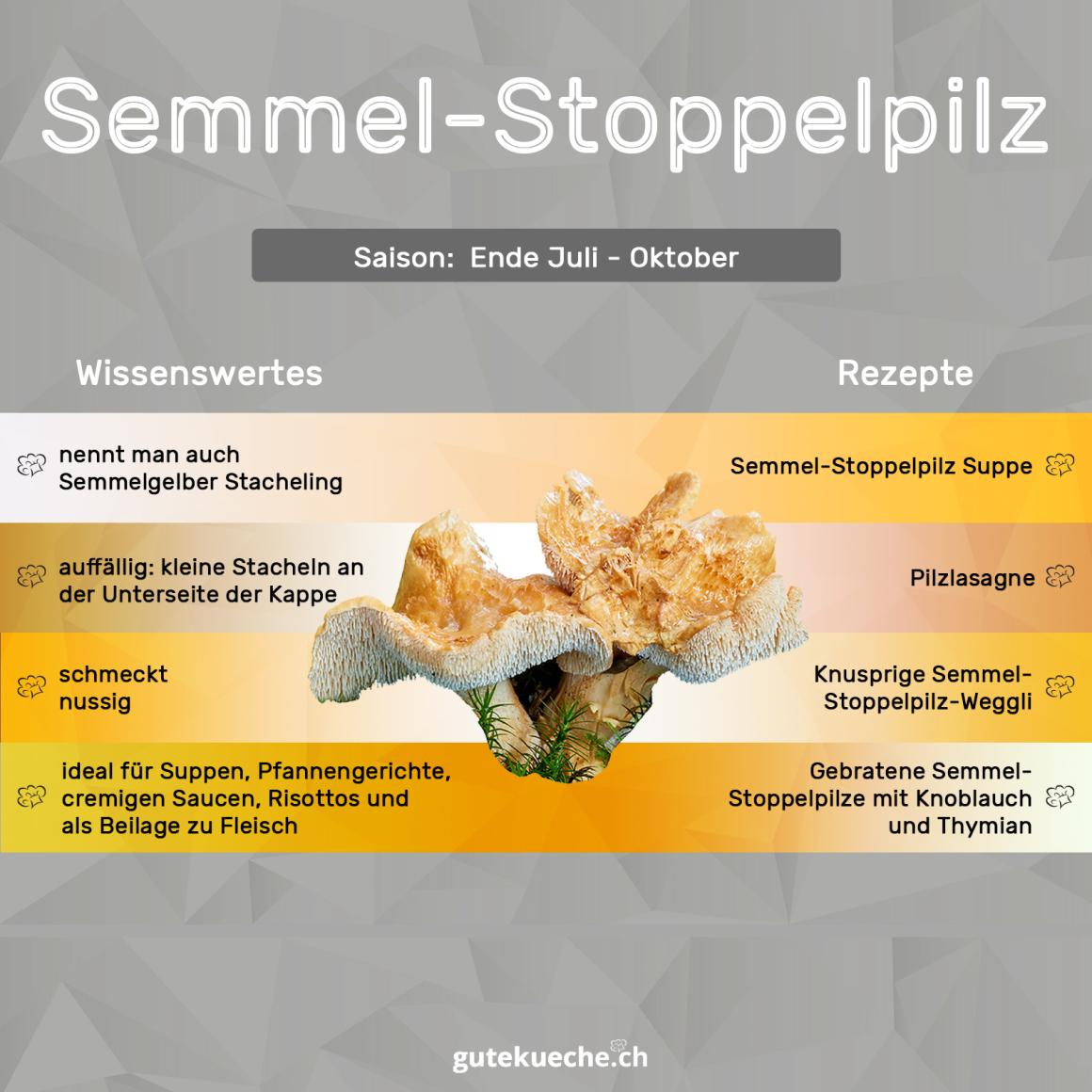 Semmel-Stoppelpilz