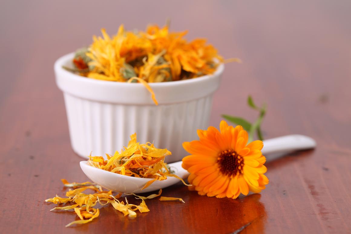 Ringelblume in der Küche
