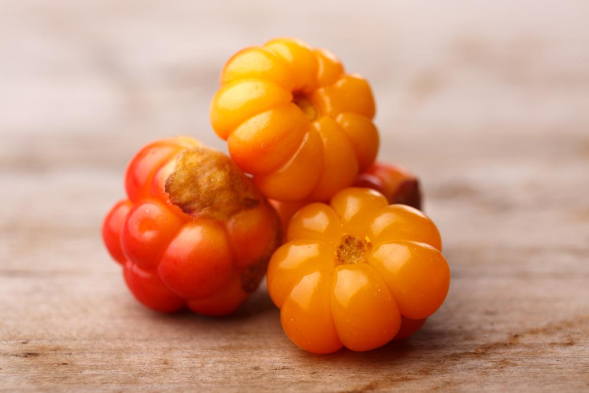 Moltebeeren