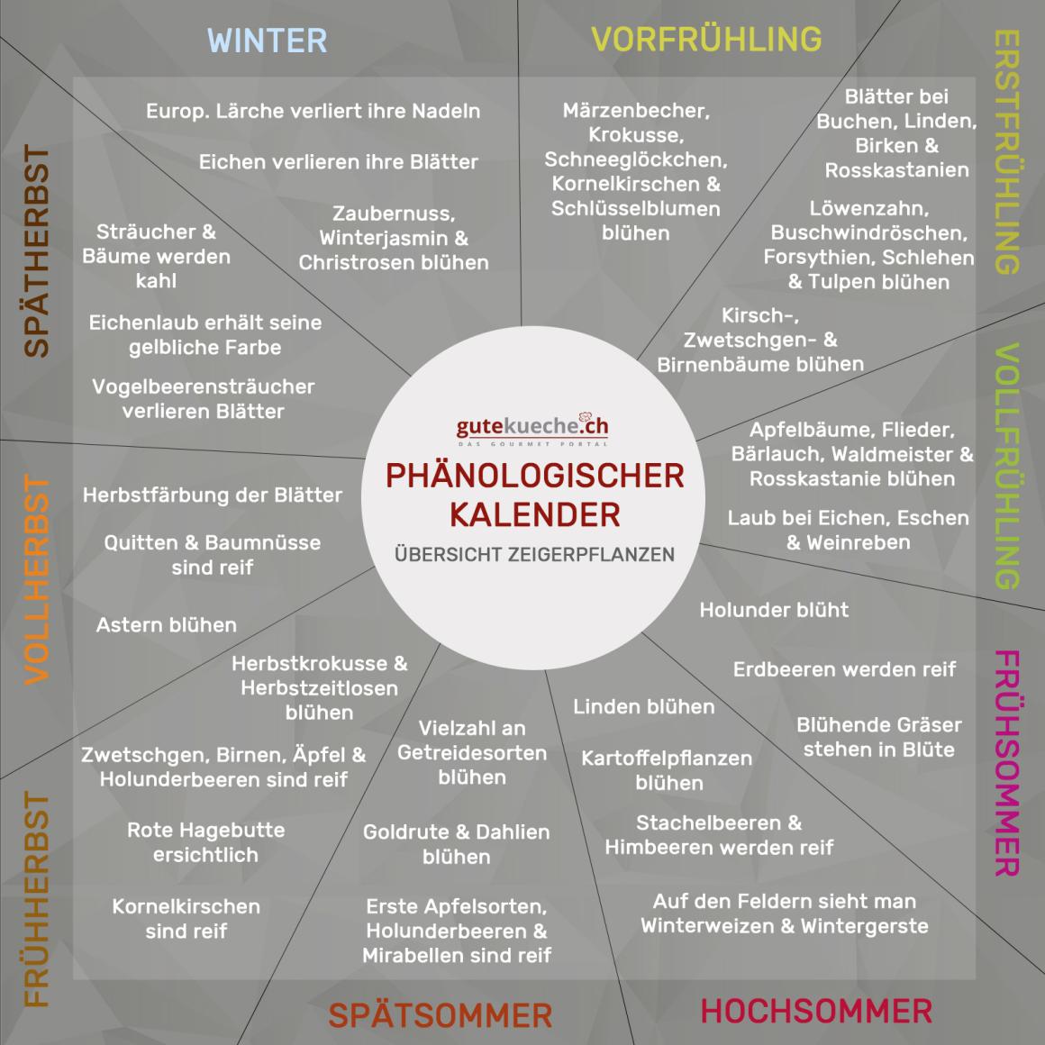 Kalender der Natur - der Phänologischen Kalender