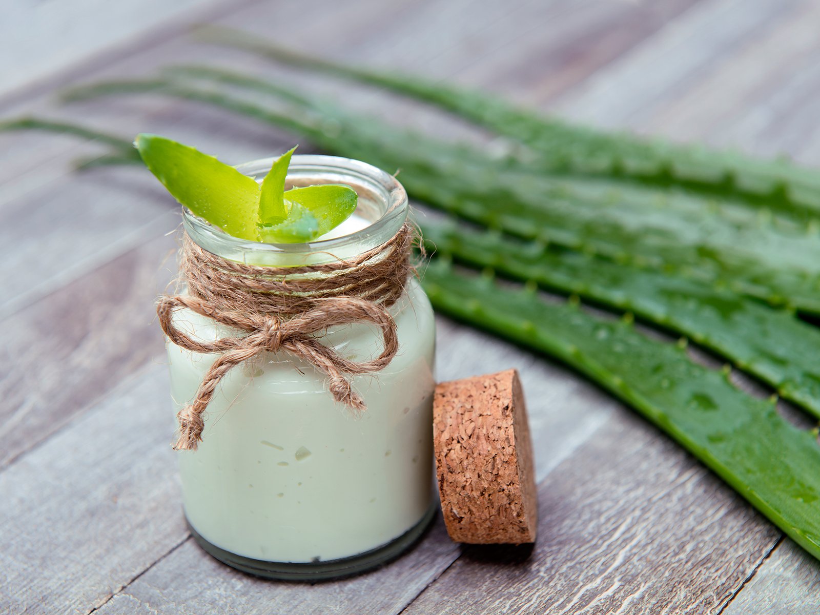 aloe vera stiche ALMIVITAL Anti Insekten Spray 100 ml – Schutz vor Mücken & Zecken main image 1