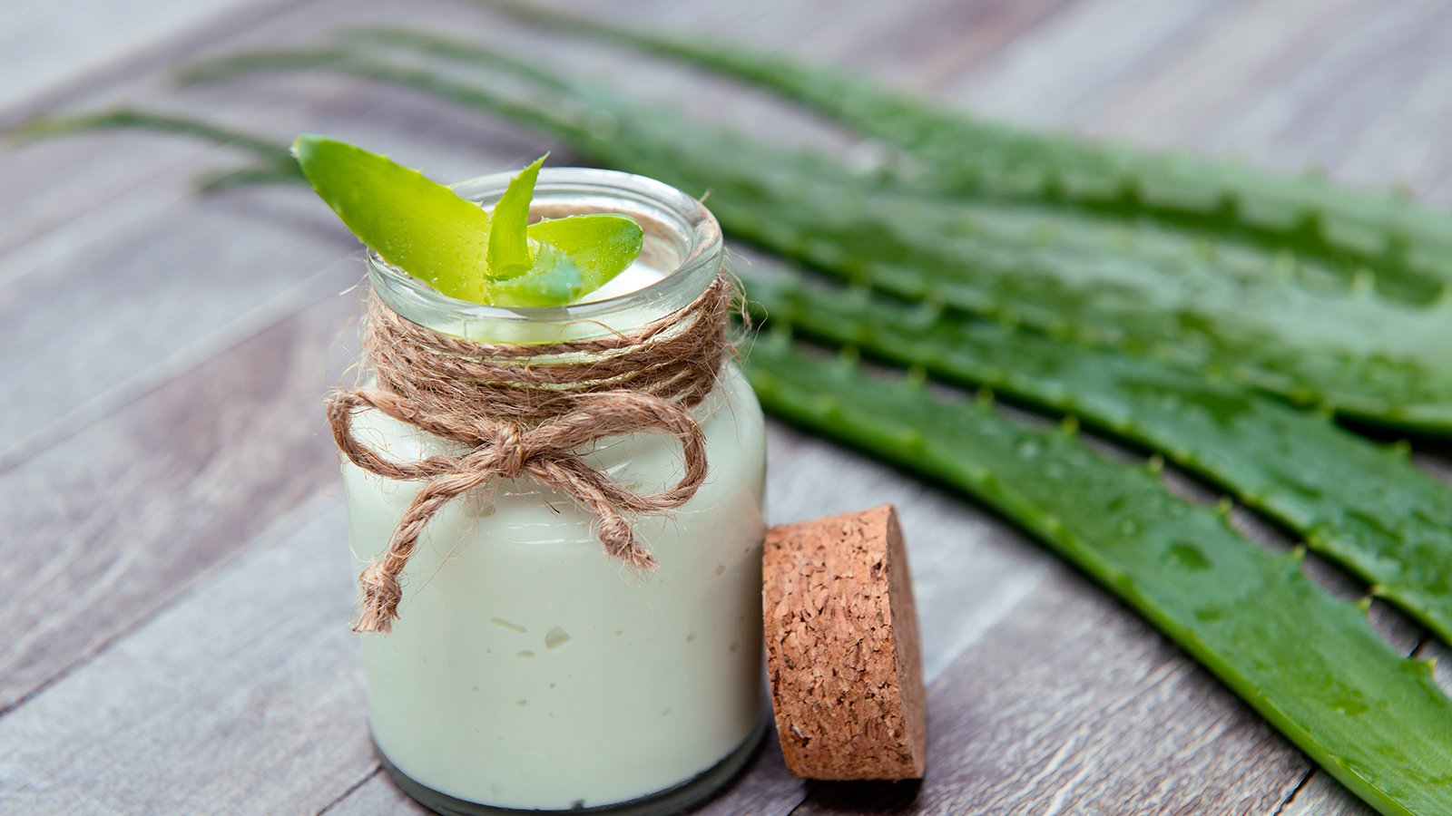 Aloe-Vera-Creme selbst herstellen