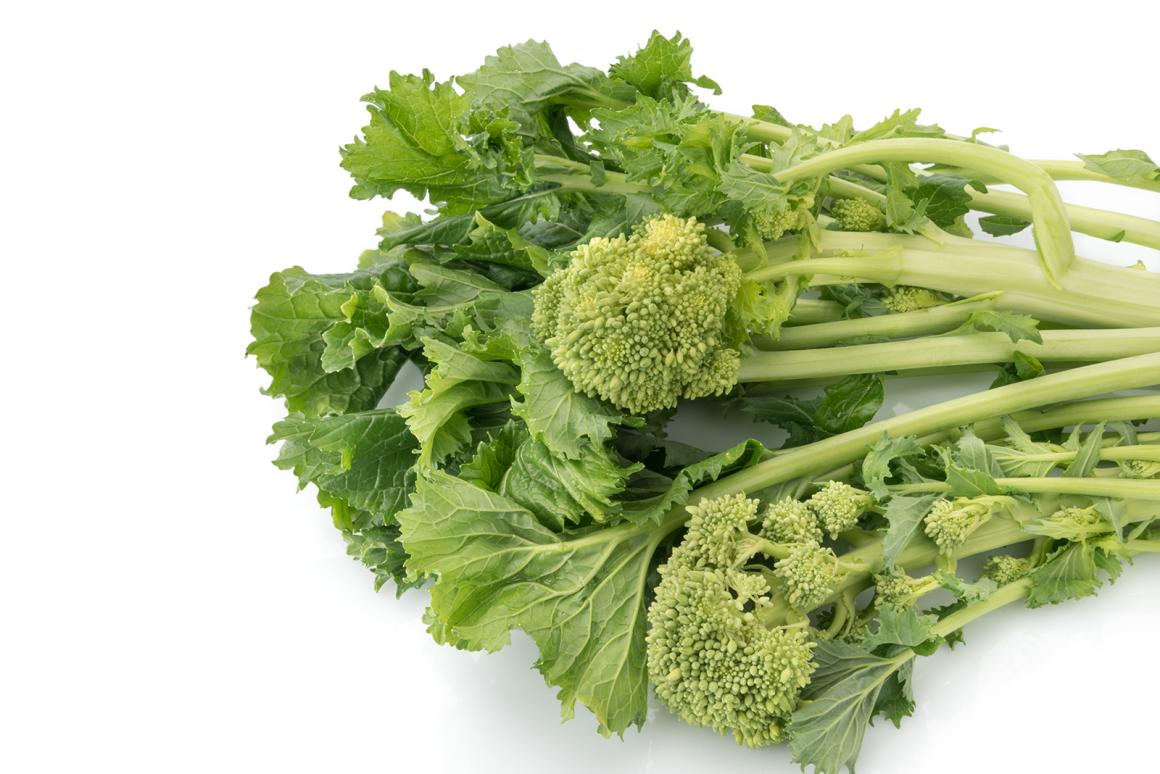 Mein Gemüsegarten: Cime di Rapa