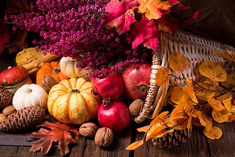 Herbstliche Köstlichkeiten