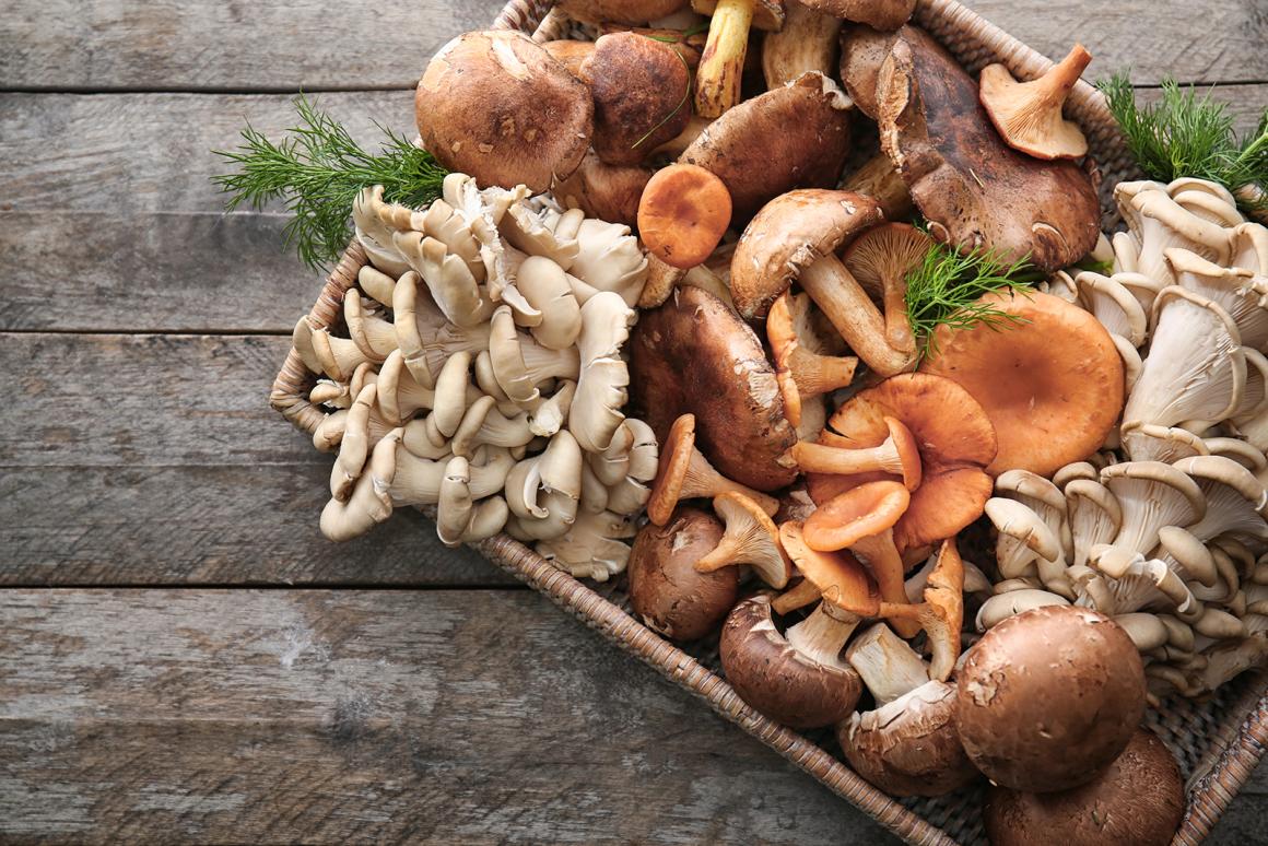 Pilze richtig säubern und Pilzarten
