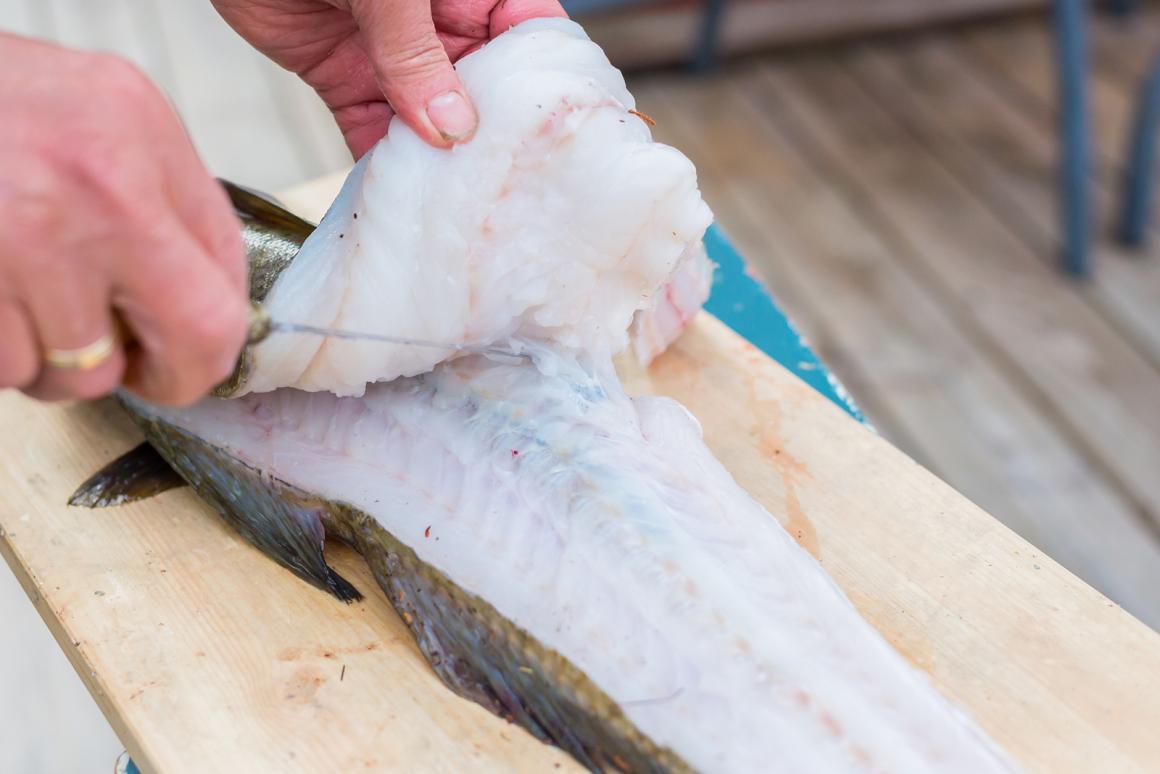 Fisch richtig zubereiten