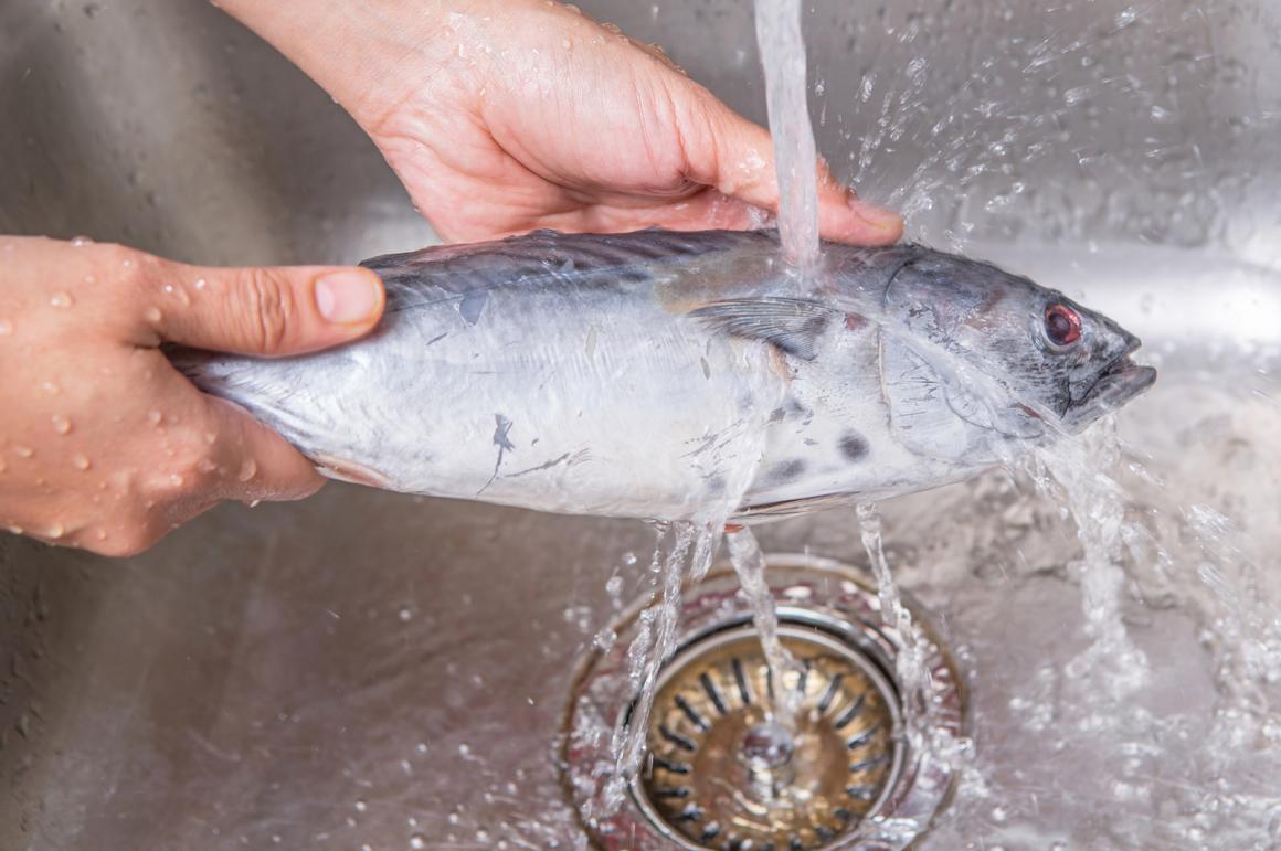Fisch richtig zubereiten