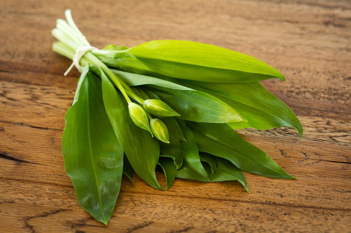 Marktbummel April - Saison von Morchel und Spargel 