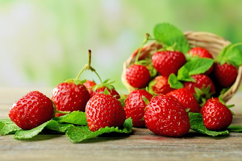 Erdbeeren - richtige Lagerung