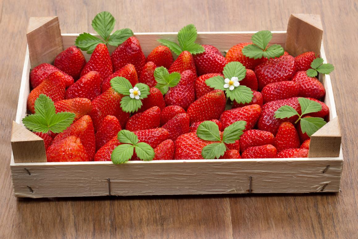 Erdbeeren - richtige Lagerung