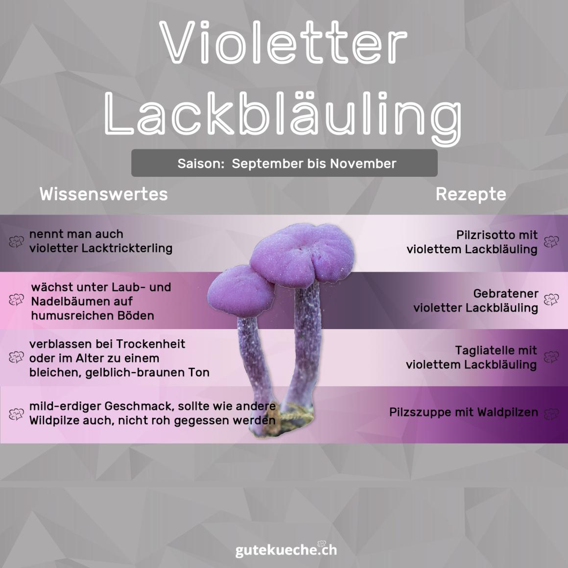 Violetter Lackbläuling