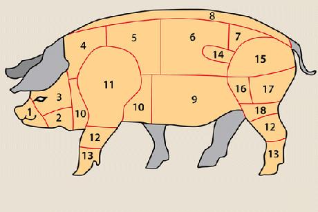 Fleischkunde Schwein