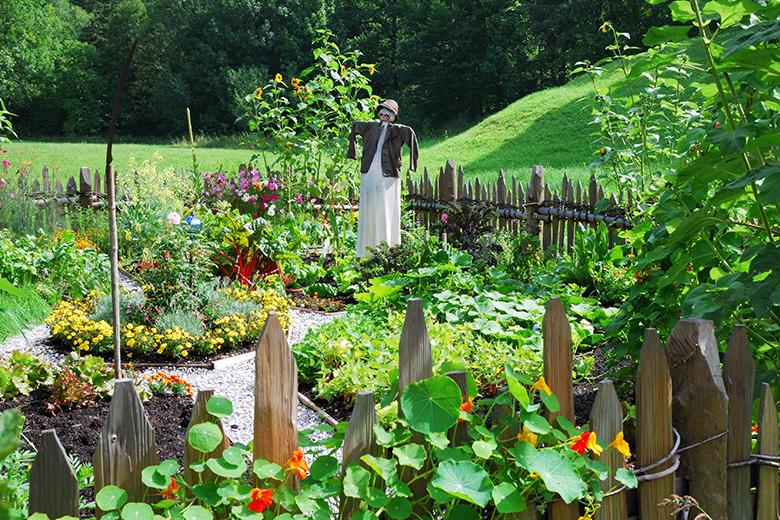Biodiversität – der Naturgarten
