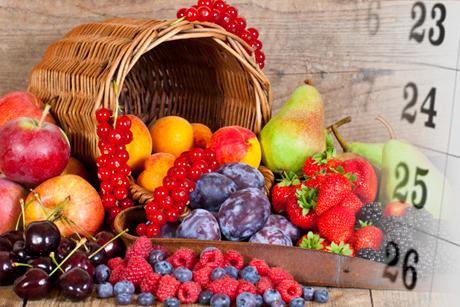 Saisonkalender Obst