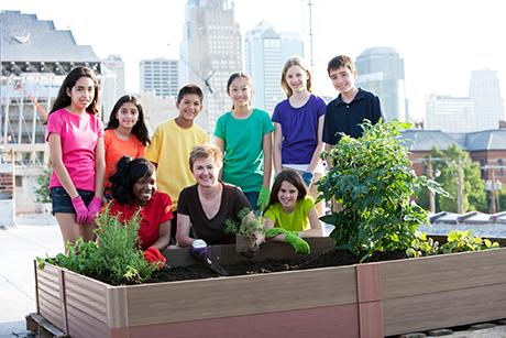 Urban Gardening