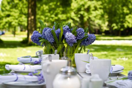 Sommerliches Geburtstags-Menu