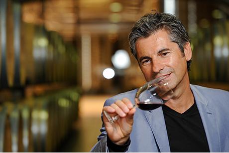 Als Master of Wine zu den ultimativen Wein-Meriten
