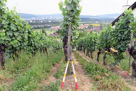 7. Kappen, geizen und ausmisten